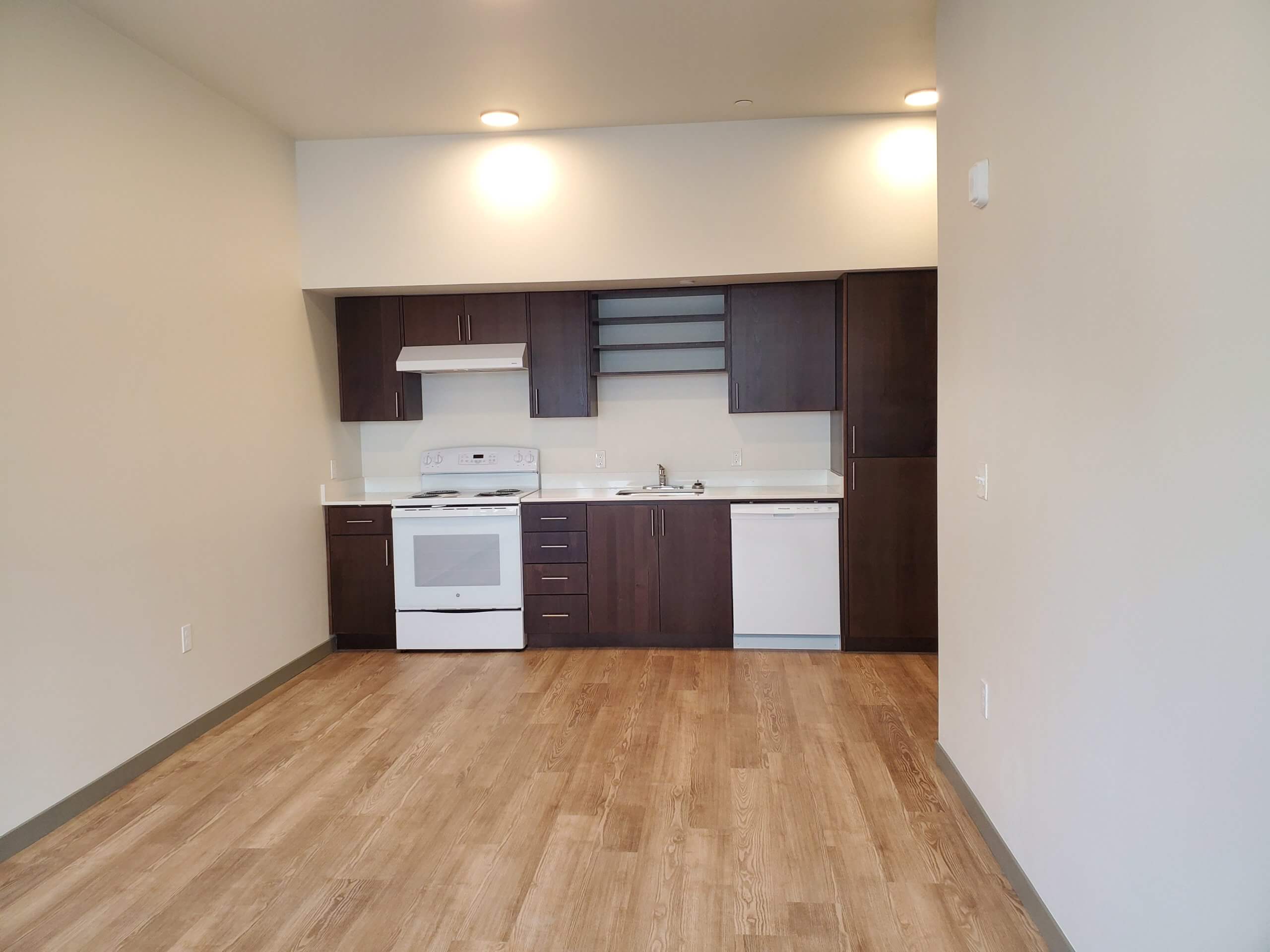 Kitchen and living room in apartment