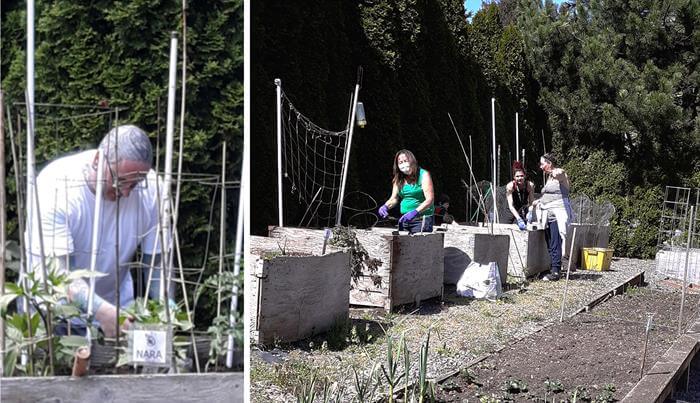 People working in community garden at SnowCap Community Vegetable Garden