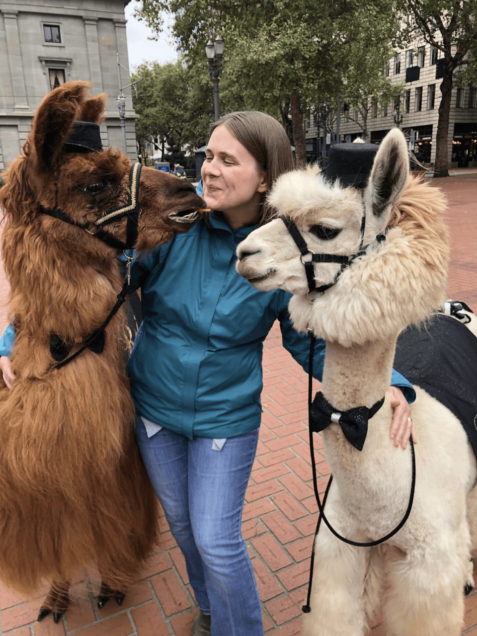 A woman smiles next to two llamas.